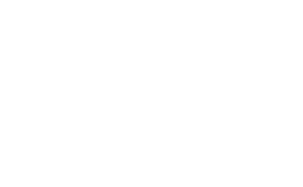 Stichting Fake Carrier
